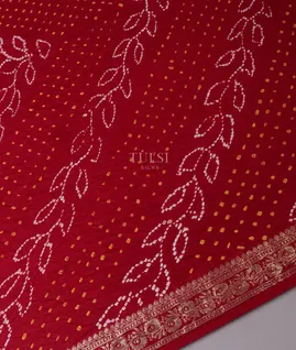 red-bandhani-gajji-silk-saree-t693734-t693734-e