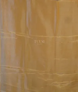 yellow-kora-tissue-organza-embroidery-saree-t691790-t691790-c