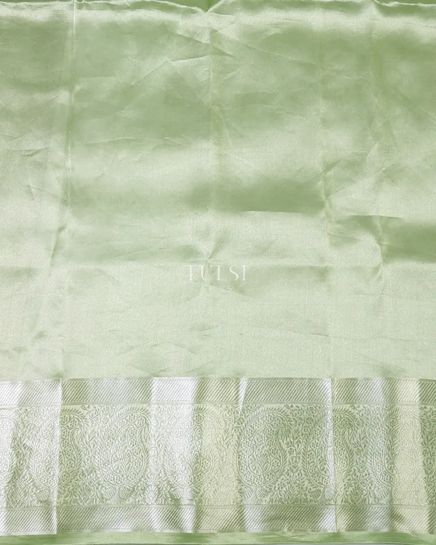 light-green-banaras-organza-saree-t684731-t684731-d