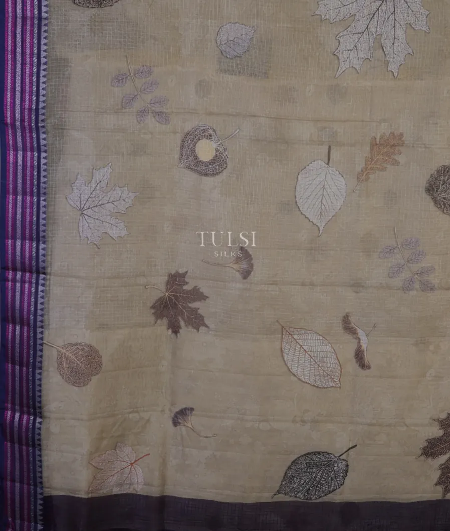 light-beige-mercerised-cotton-saree-t671714-t671714-d