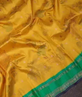 yellow-gadwal-silk-saree-t696360-t696360-e