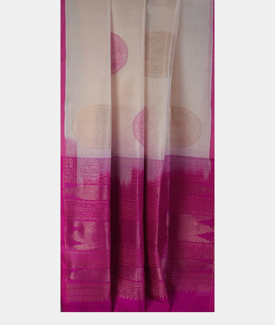 white-silk-cotton-saree-t696419-t696419-b