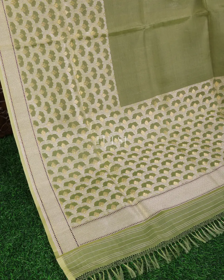 light-green-banaras-organza-saree-t694331-t694331-d