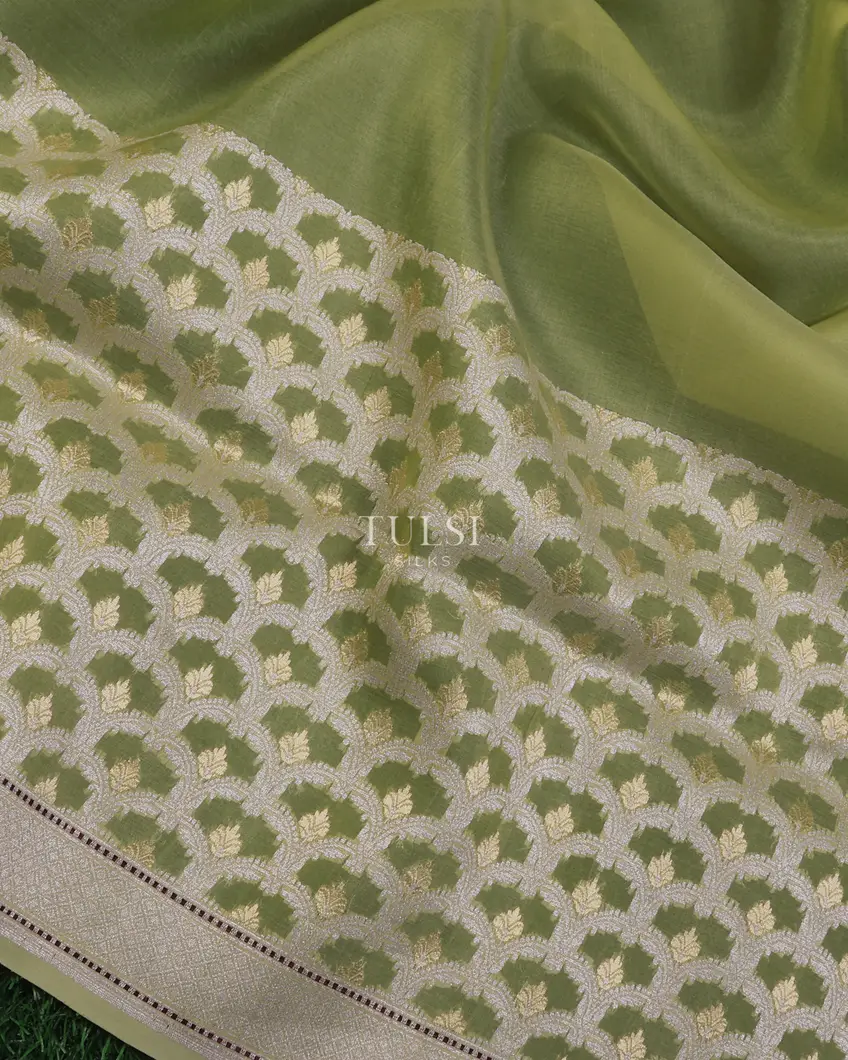 light-green-banaras-organza-saree-t694331-t694331-e