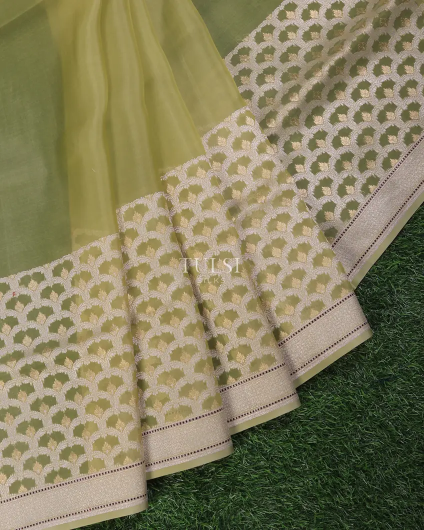 light-green-banaras-organza-saree-t694331-t694331-f