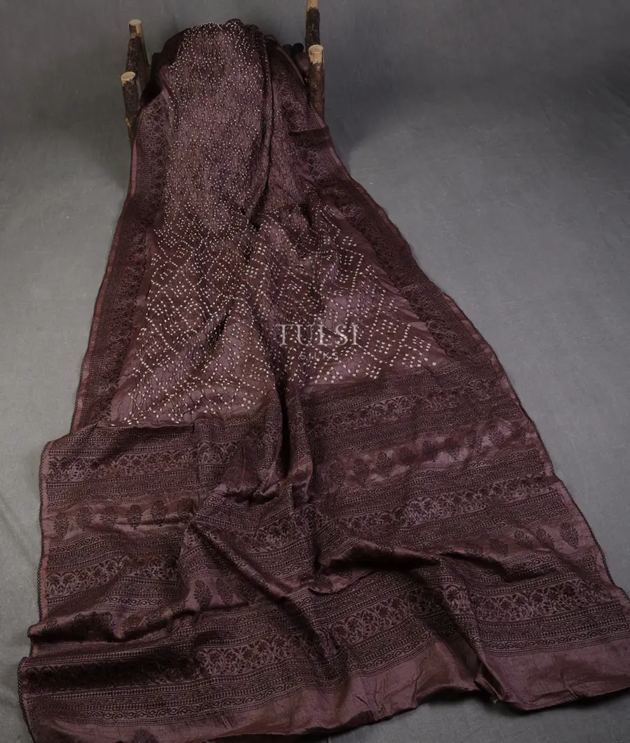 brown-bandhani-tussar-saree-t638800-t638800-b