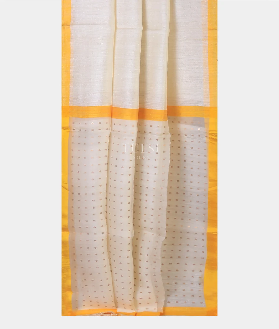 off-white-handwoven-tussar-saree-t698655-t698655-b