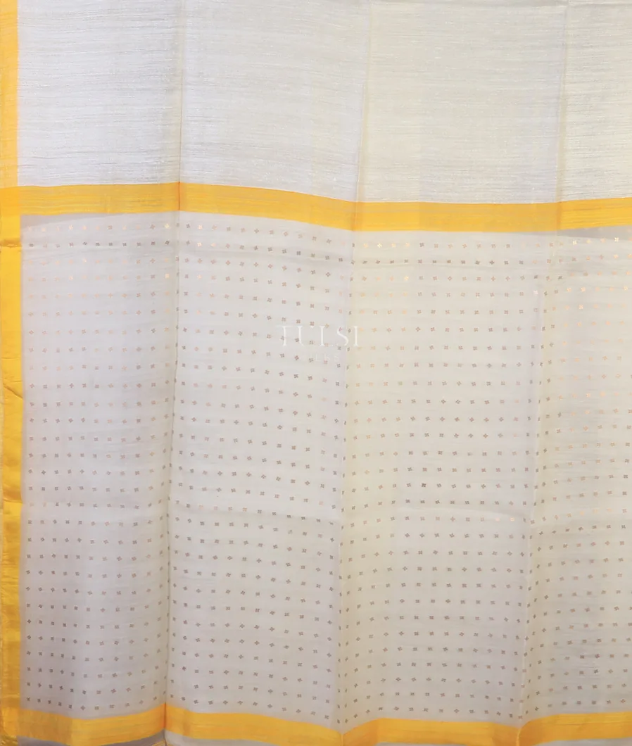 off-white-handwoven-tussar-saree-t698655-t698655-d