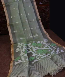 light-green-muslin-saree-t618042-t618042-b