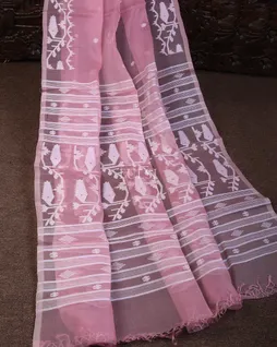 pink-muslin-saree-t656802-t656802-e