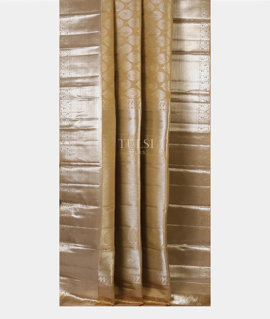 greenish-grey-kanjivaram-silk-saree-t700298-t7002978-b