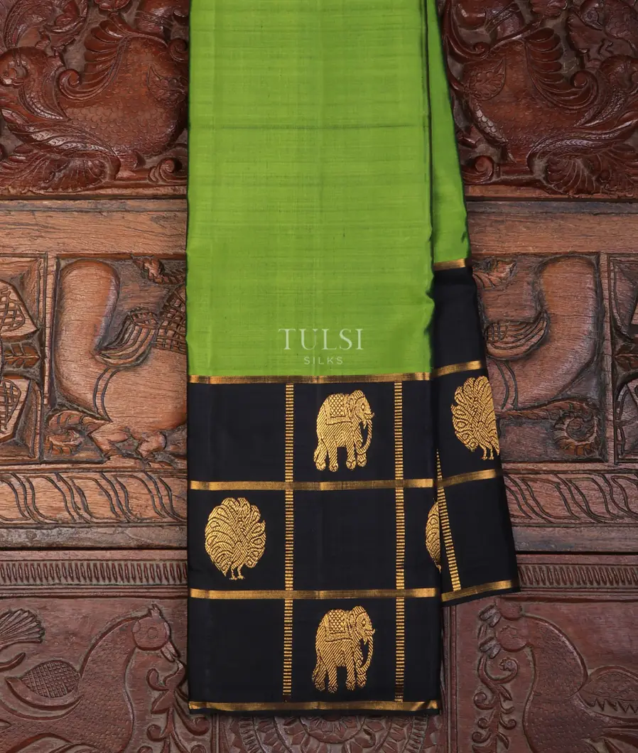 Green Kanjivaram Silk Saree T701196-image