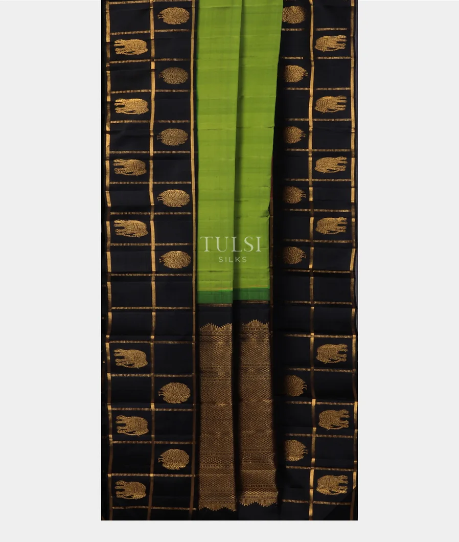 green-kanjivaram-silk-saree-t701196-t701196-b
