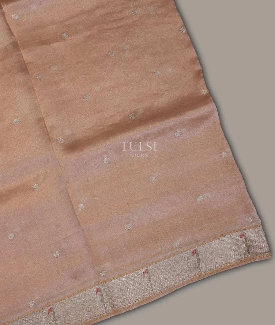 Beige Kora Tissue Organza Embroidery Saree T691245-image