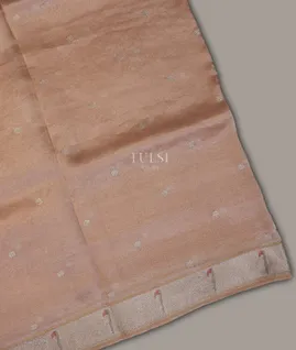 beige-kora-tissue-organza-embroidery-saree-t691245-t691245-a