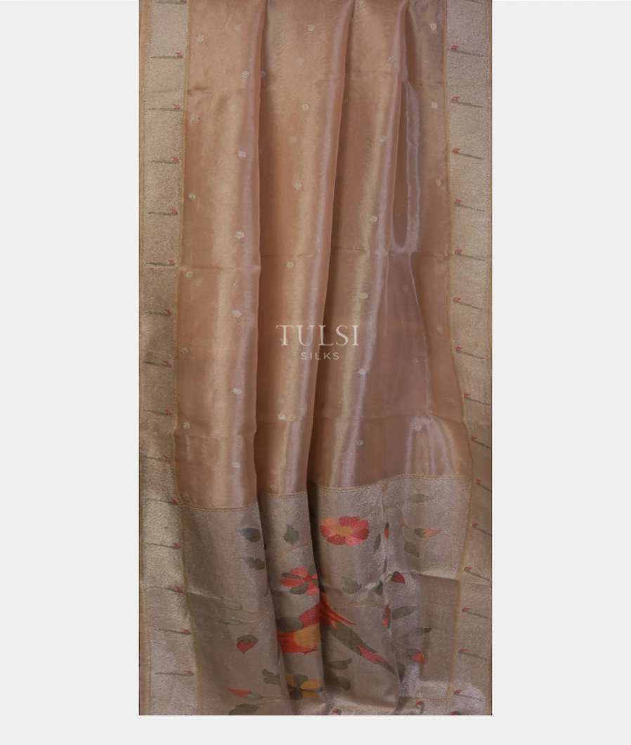 beige-kora-tissue-organza-embroidery-saree-t691245-t691245-b