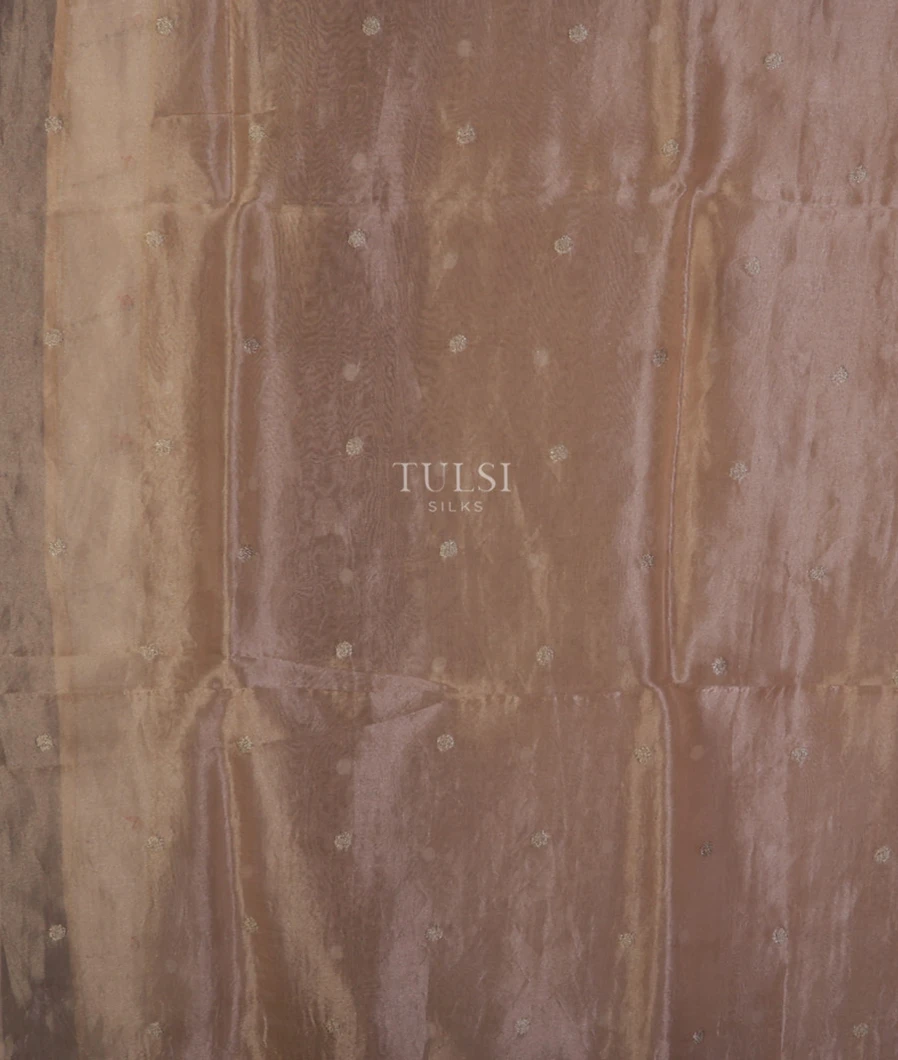 beige-kora-tissue-organza-embroidery-saree-t691245-t691245-c