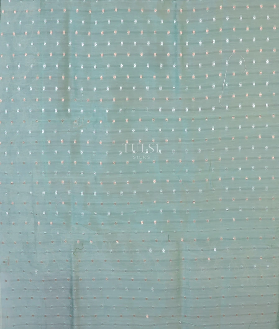 blue-kora-organza-embroidery-saree-t697357-t697357-c