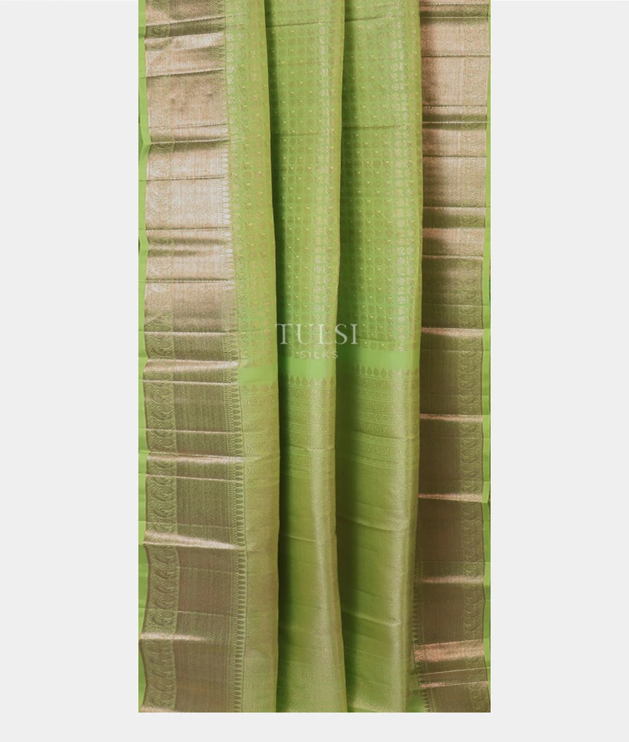 light-green-kanjivaram-silk-saree-t637079-t637079-b