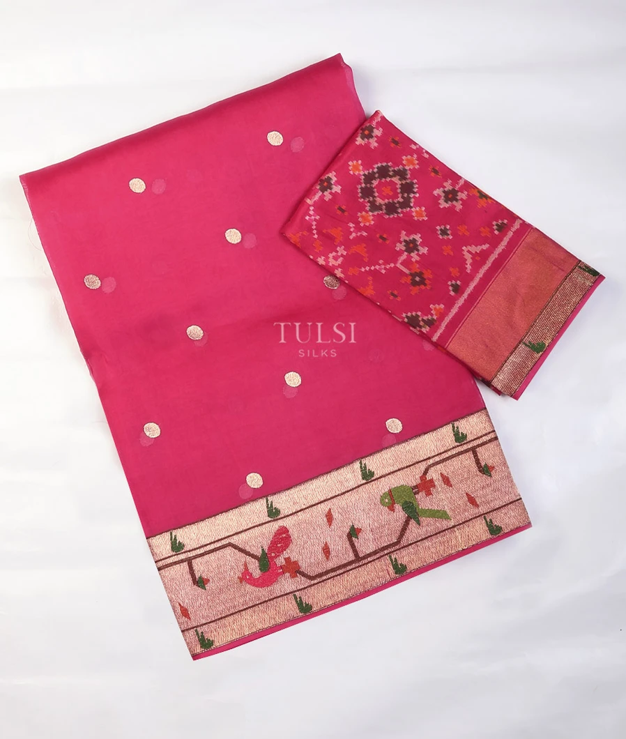 Rani Pink Kora Organza Embroidery Saree T702326-image