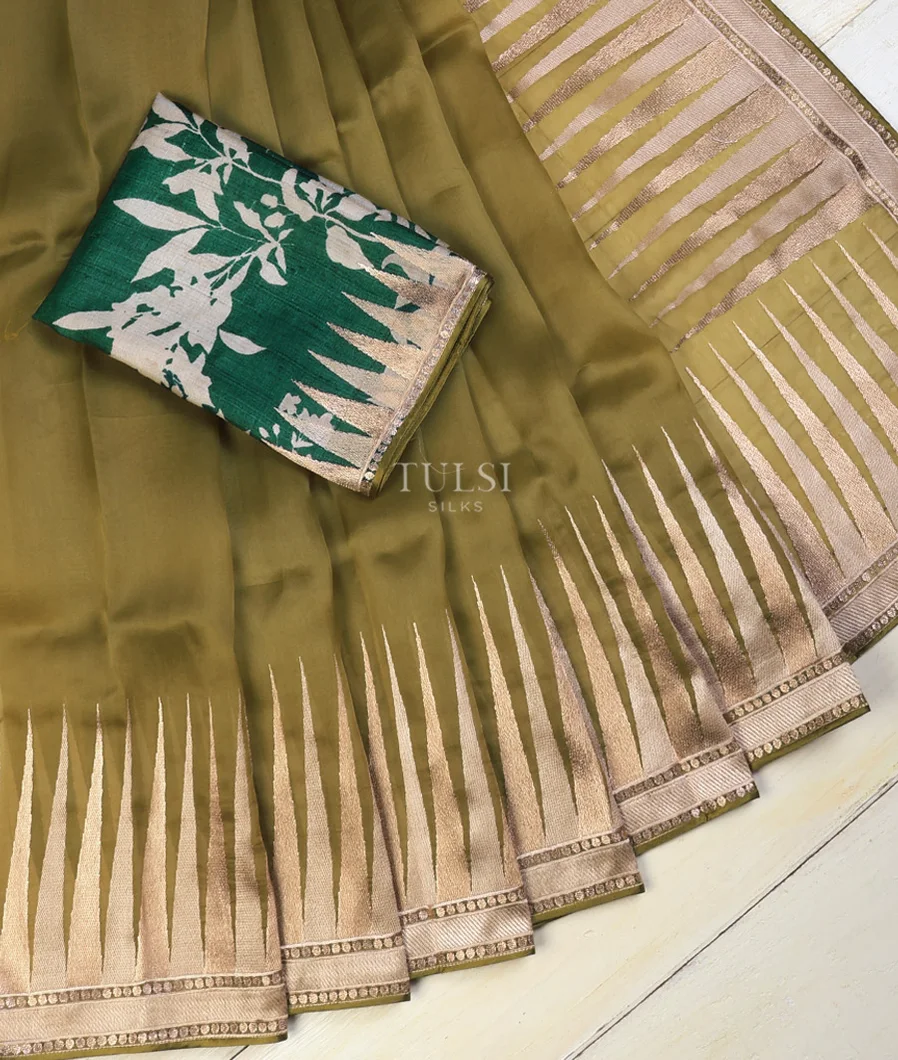 green-kora-organza-embroidery-saree-t693584-t693584-b