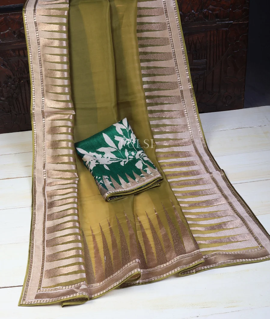 green-kora-organza-embroidery-saree-t693584-t693584-d