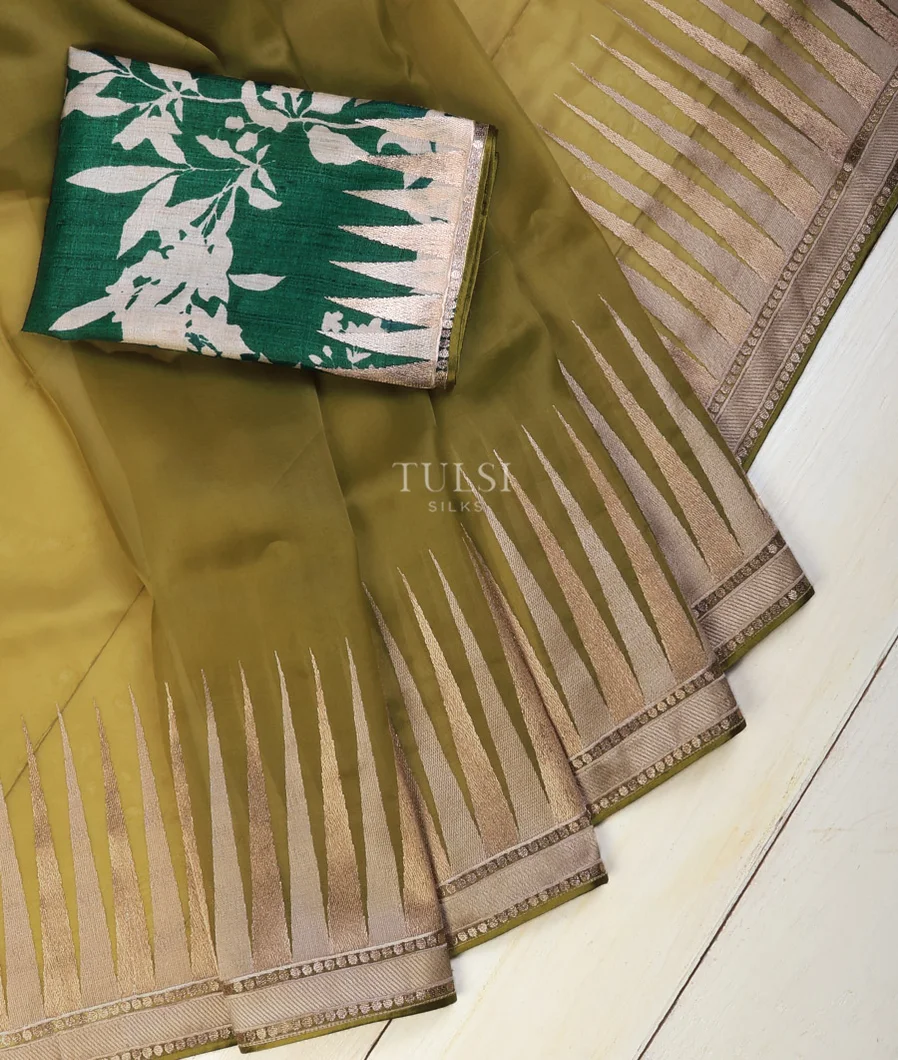 green-kora-organza-embroidery-saree-t693584-t693584-e
