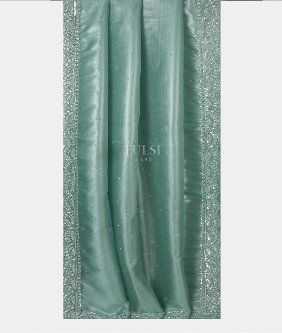 blue-kora-organza-embroidery-saree-t691822-t691822-b