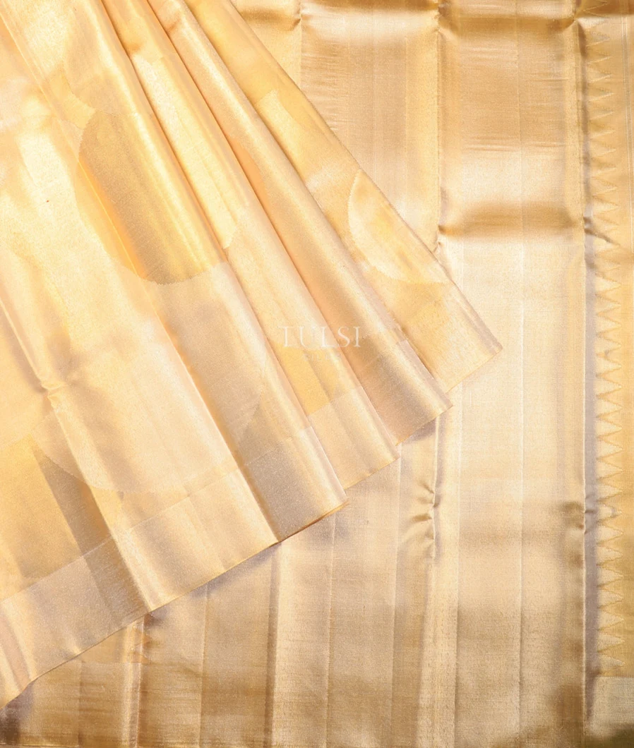 tissue-kanjivaram-silk-saree-t703491-t703491-b