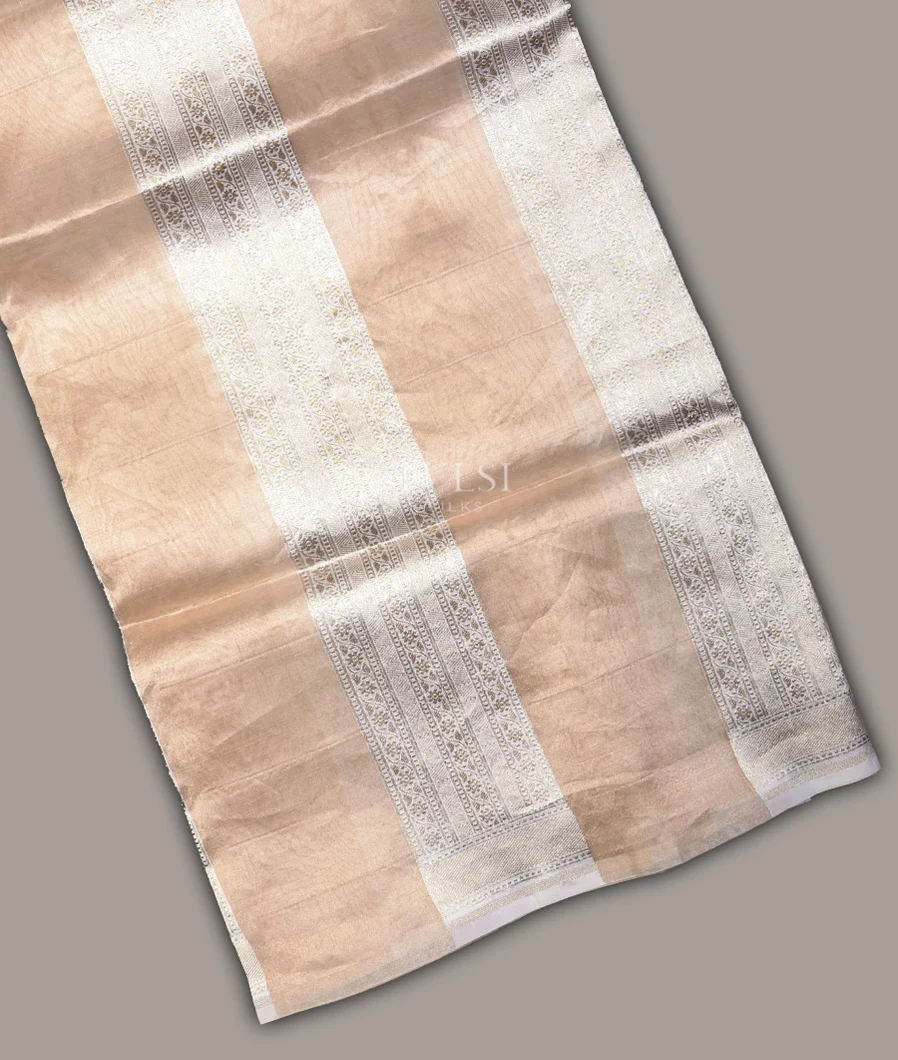 beige-banaras-tissue-organza-saree-t708429-t708429-a