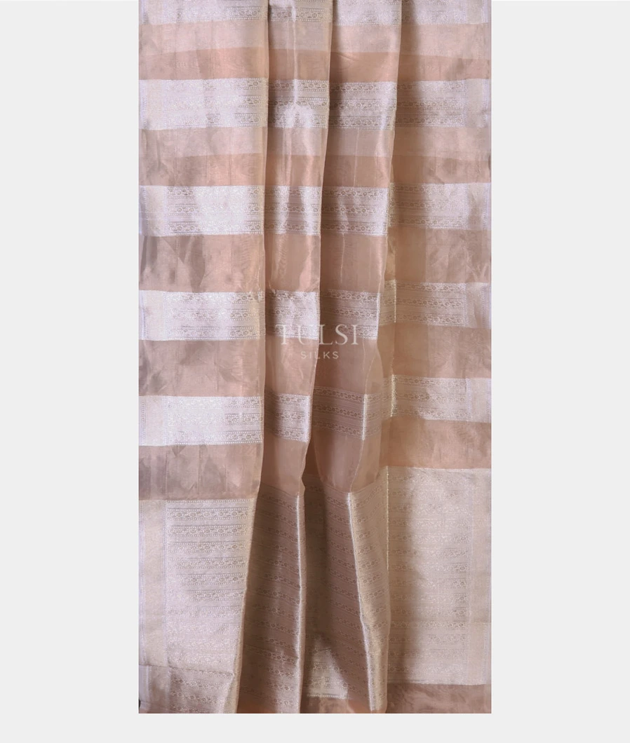 beige-banaras-tissue-organza-saree-t708429-t708429-b