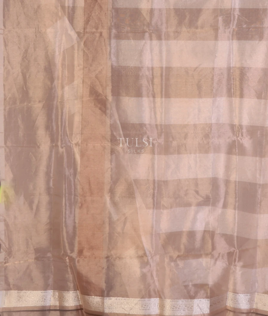 beige-banaras-tissue-organza-saree-t708429-t708429-c