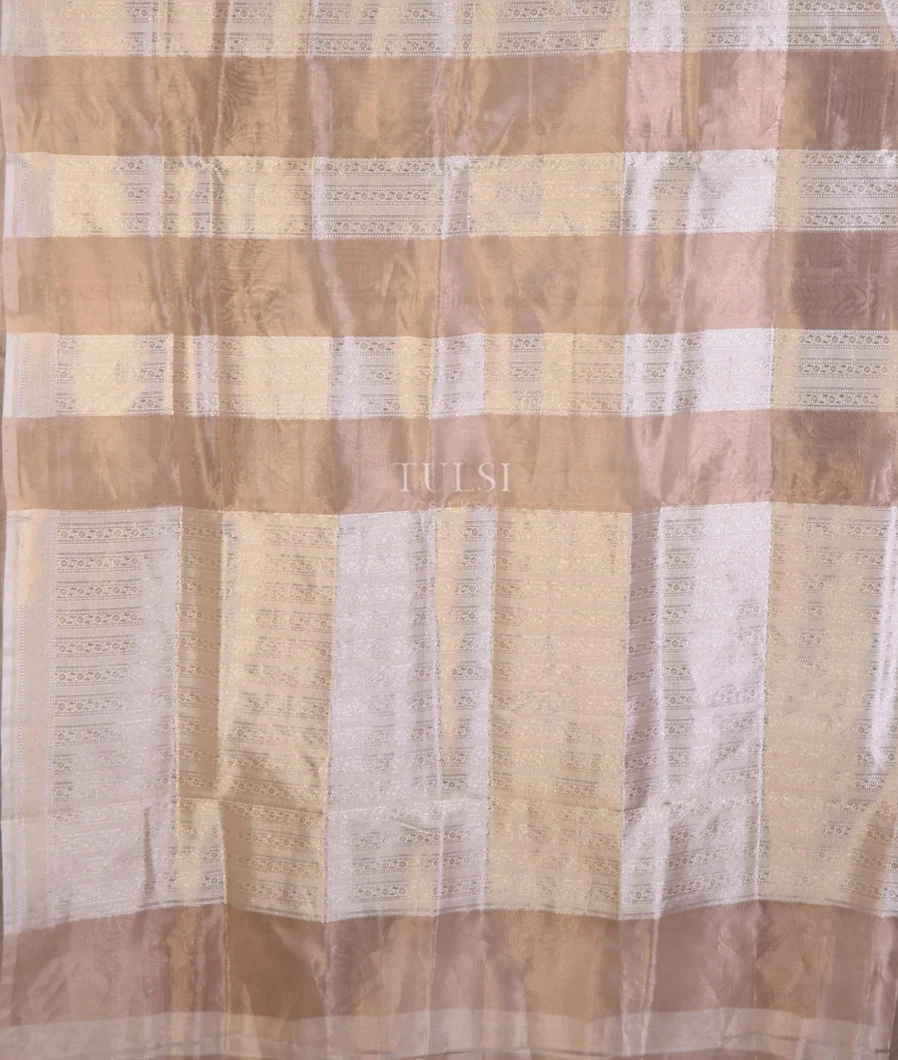 beige-banaras-tissue-organza-saree-t708429-t708429-d