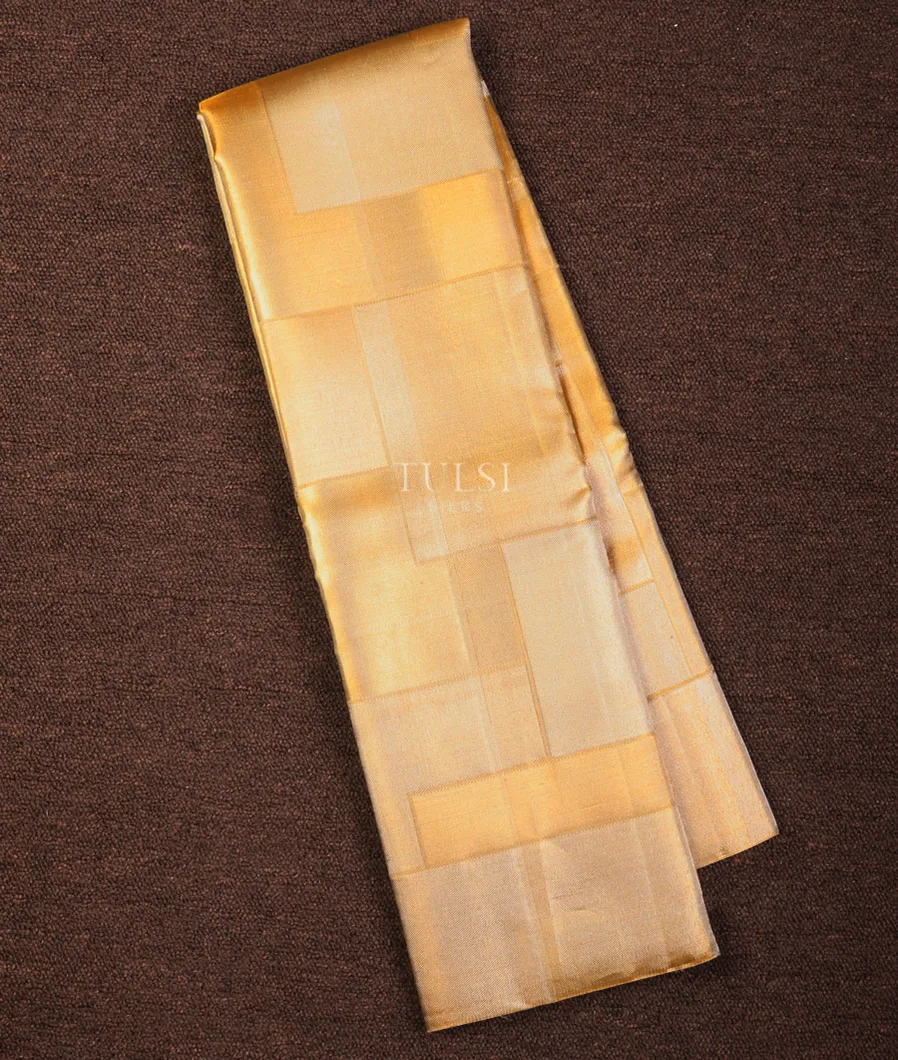 Gold Tissue Kanjivaram Silk Saree T700789-image