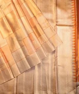 yellow-tissue-kanjivaram-silk-saree-t700788-t700788-b