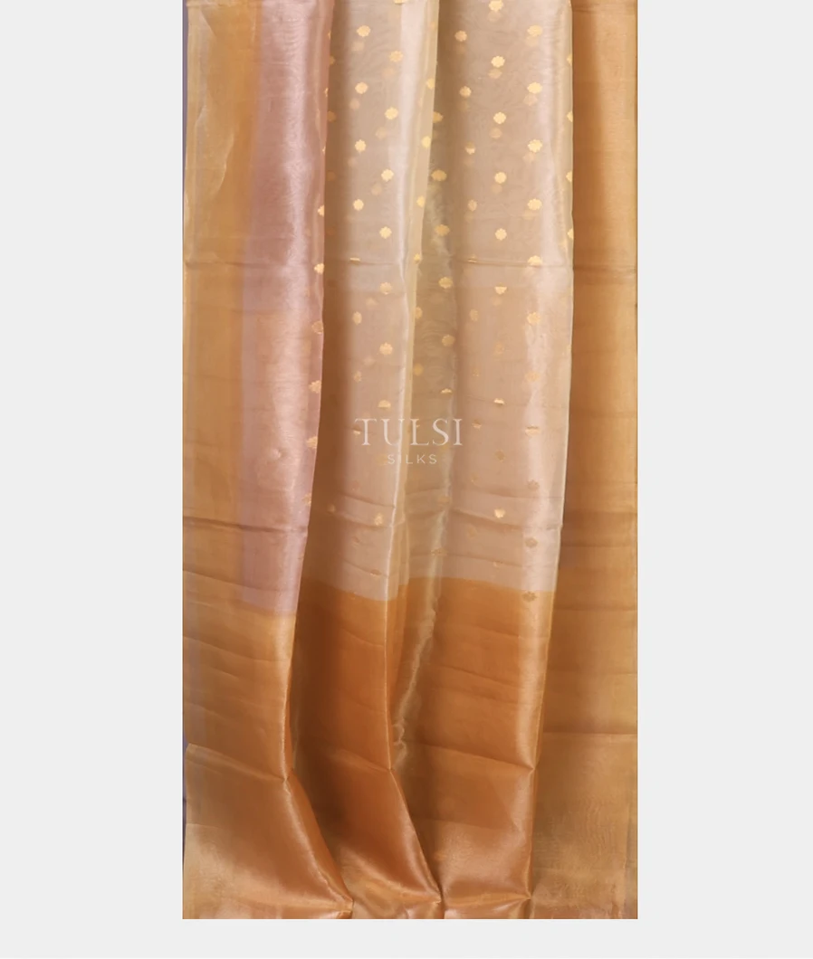 off-white-banaras-tissue-organza-saree-t708423-t708423-b