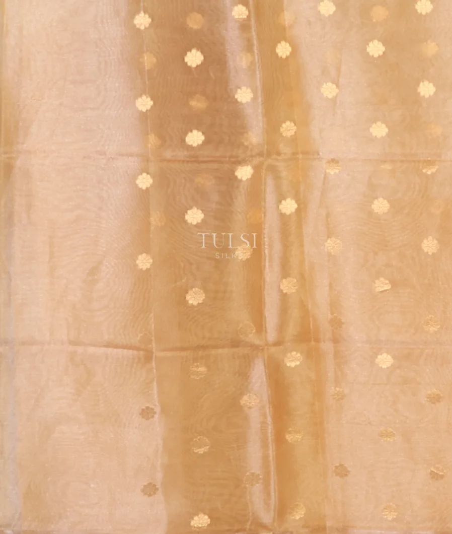 off-white-banaras-tissue-organza-saree-t708423-t708423-c