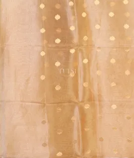 off-white-banaras-tissue-organza-saree-t708423-t708423-c