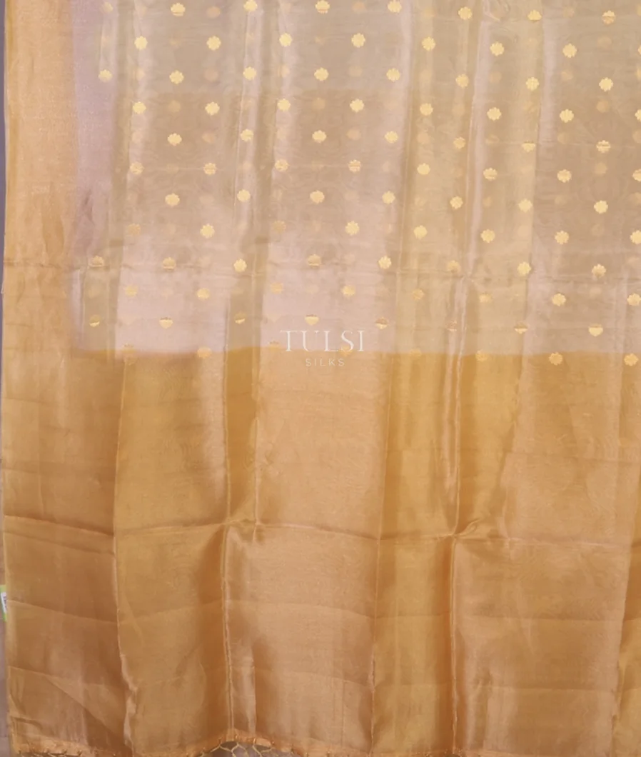 off-white-banaras-tissue-organza-saree-t708423-t708423-d