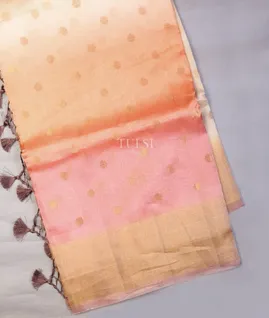 multicolour-banaras-tissue-organza-saree-t708425-t708425-a
