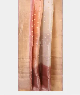 multicolour-banaras-tissue-organza-saree-t708425-t708425-b
