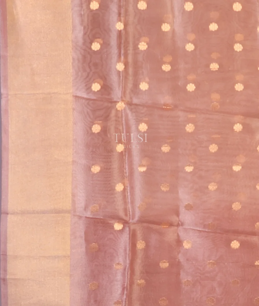 multicolour-banaras-tissue-organza-saree-t708425-t708425-c