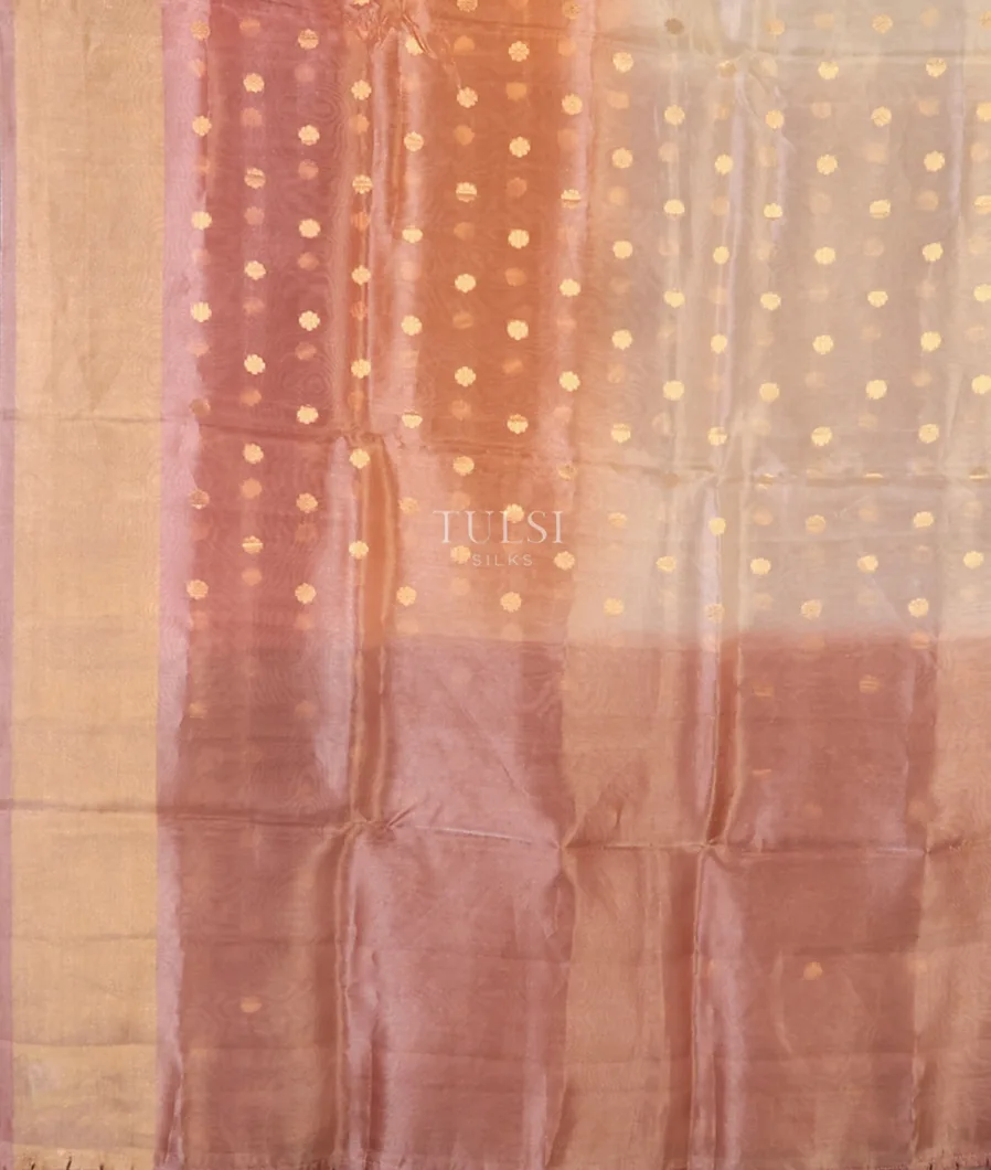 multicolour-banaras-tissue-organza-saree-t708425-t708425-d