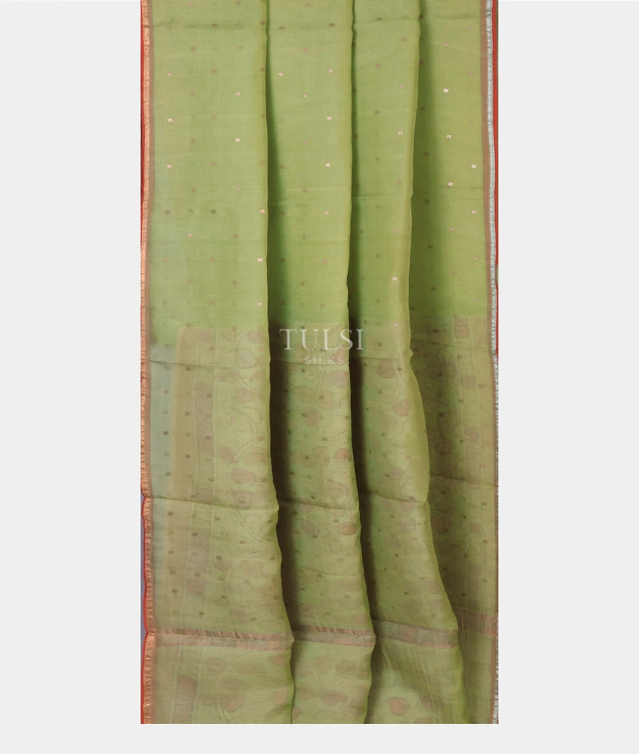 light-green-woven-organza-saree-t689644-t689644-b