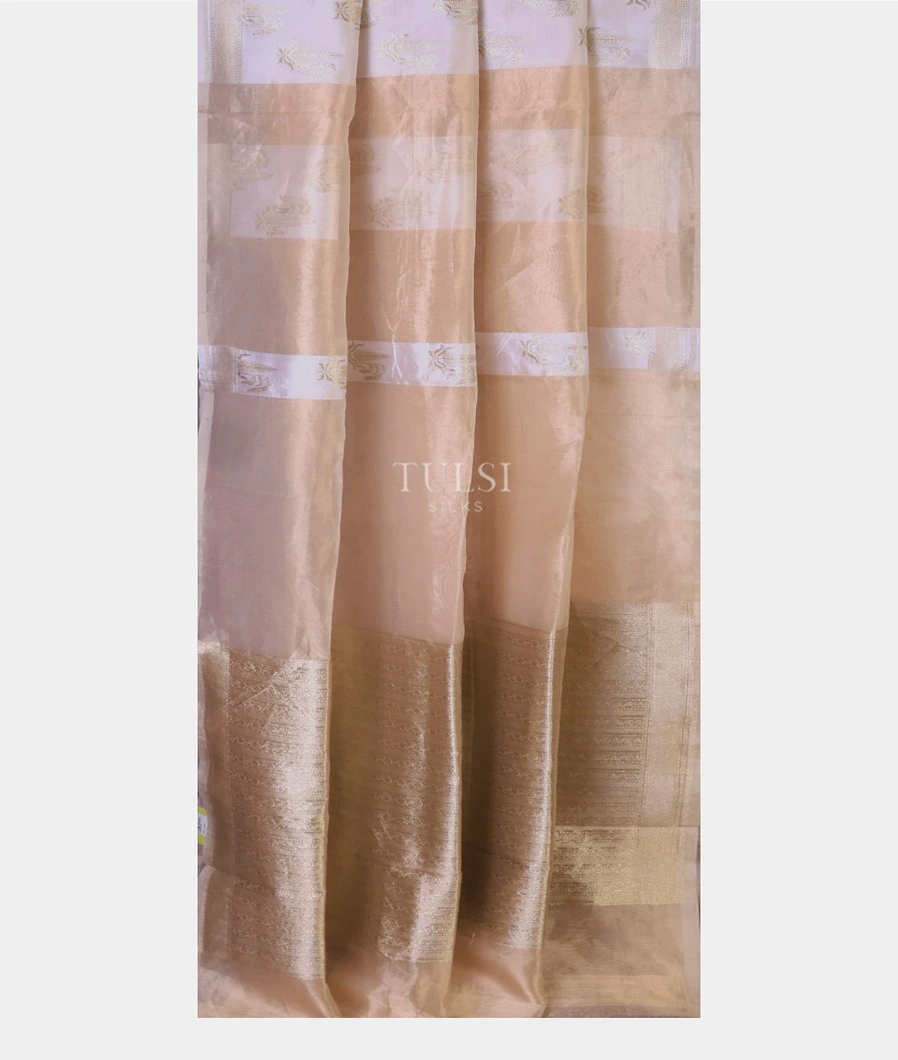 beige-banaras-tissue-silk-sare-t708432-t708432-b