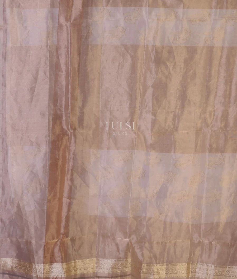 beige-banaras-tissue-silk-sare-t708432-t708432-c