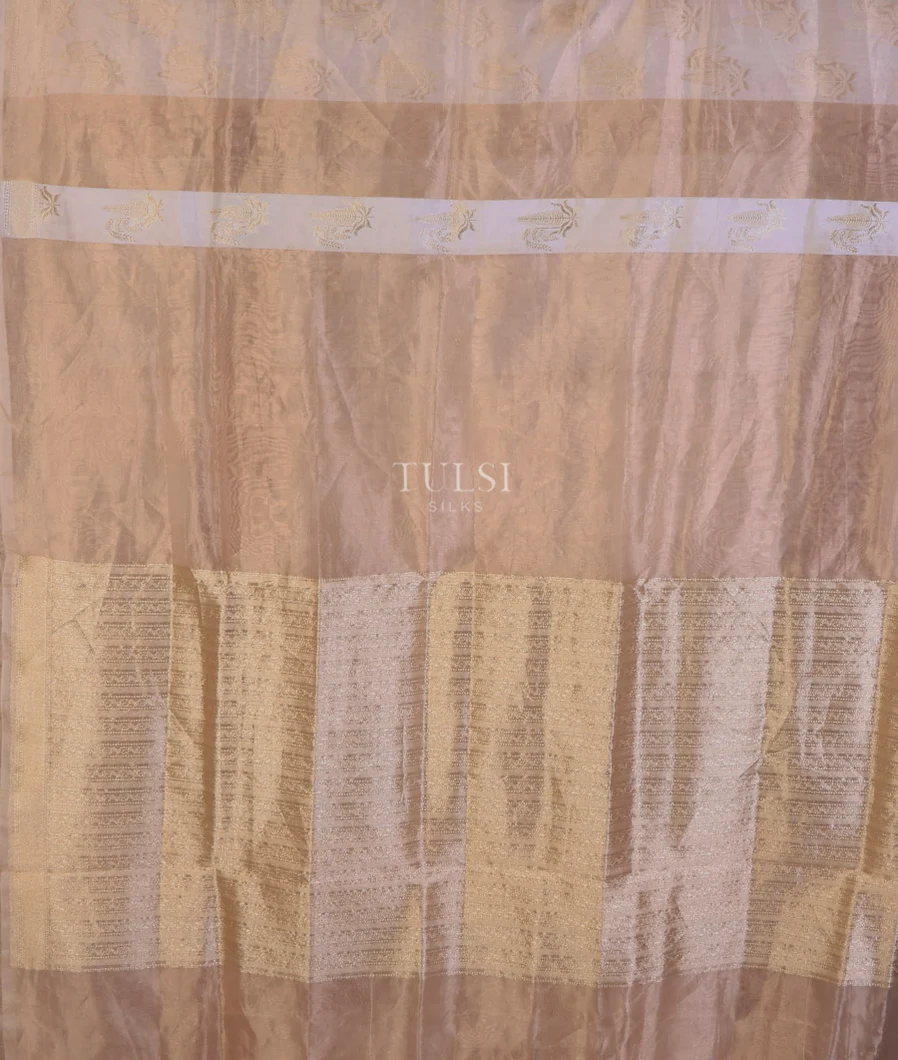beige-banaras-tissue-silk-sare-t708432-t708432-d