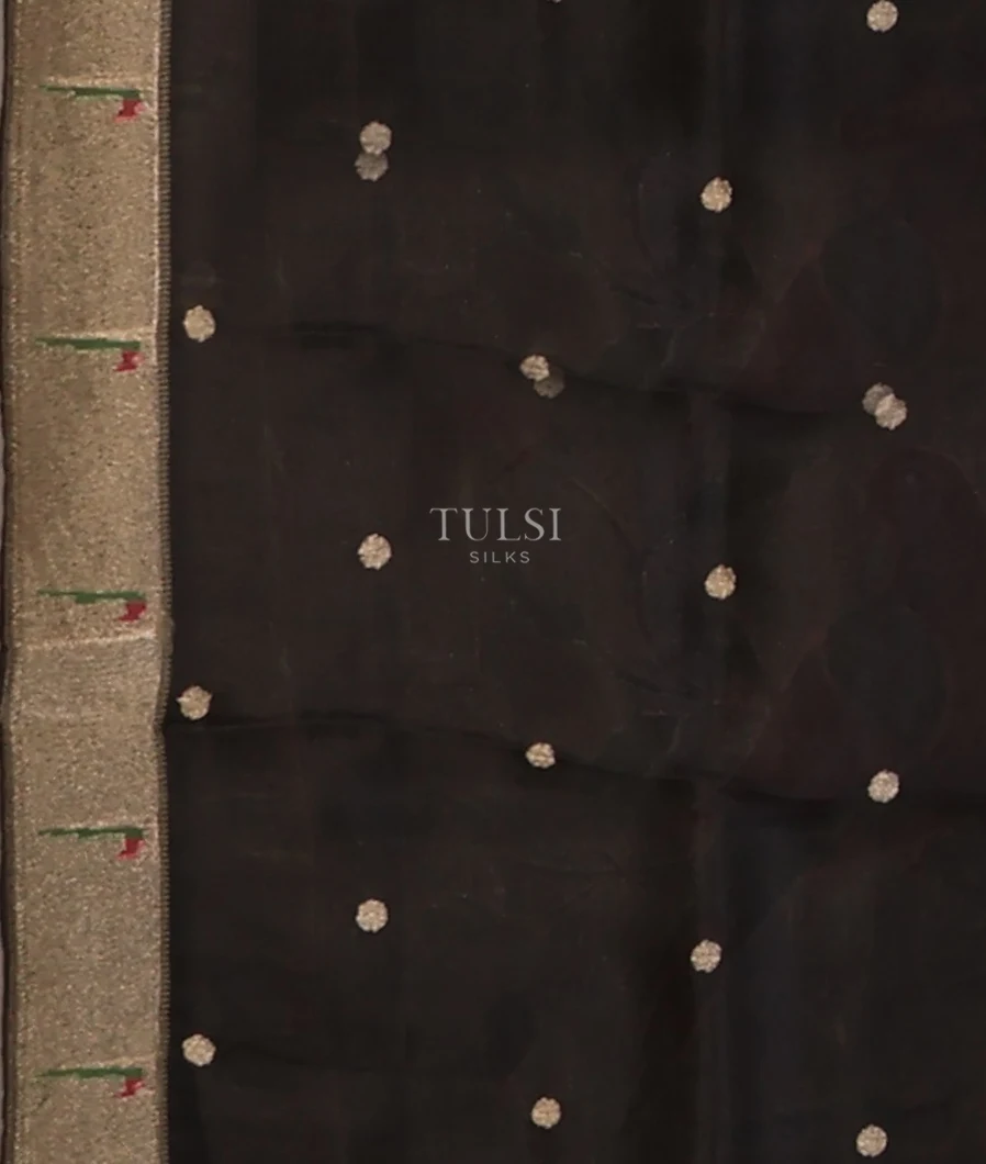black-kora-organza-embroidery-saree-t691235-t691235-c