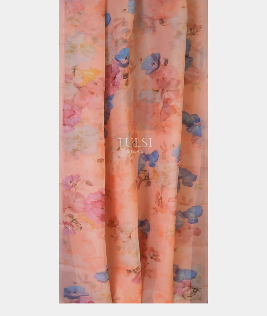 peach-kora-organza-printed-saree-t697621-t697621-b