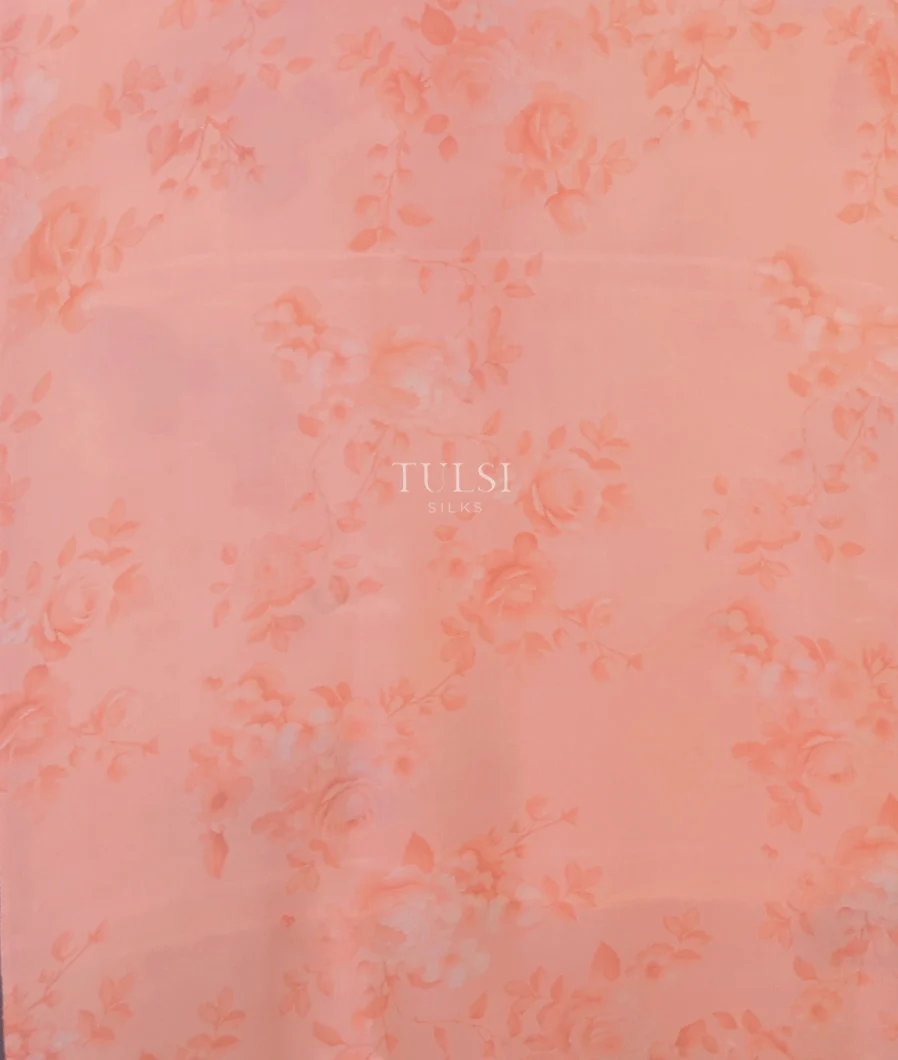 peach-kora-organza-printed-saree-t697621-t697621-c